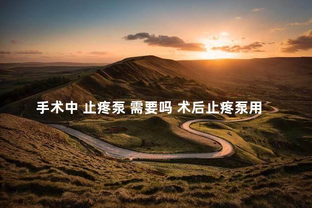 手术中 止疼泵 需要吗 术后止疼泵用多久